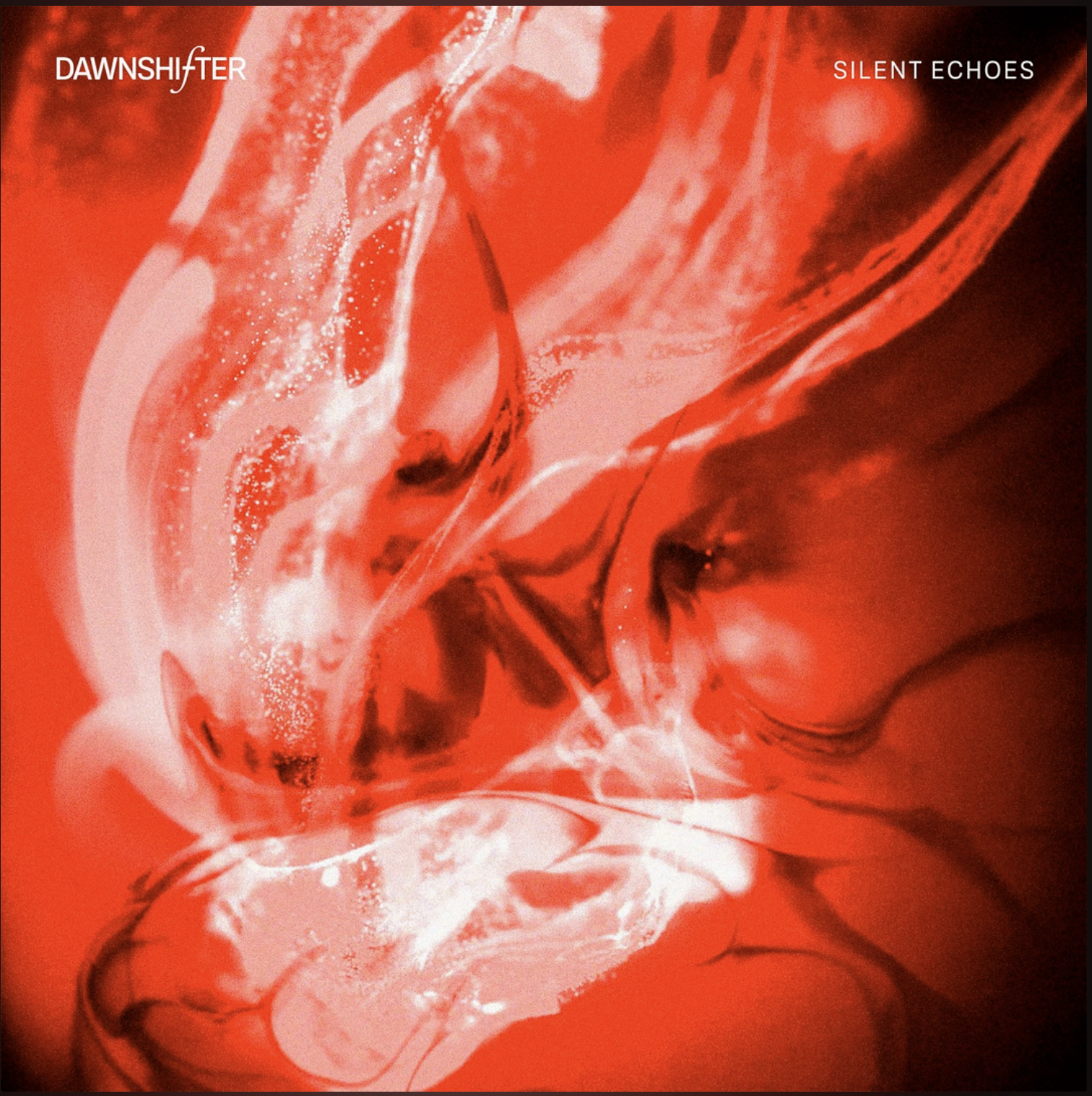 Silent Echoes Single